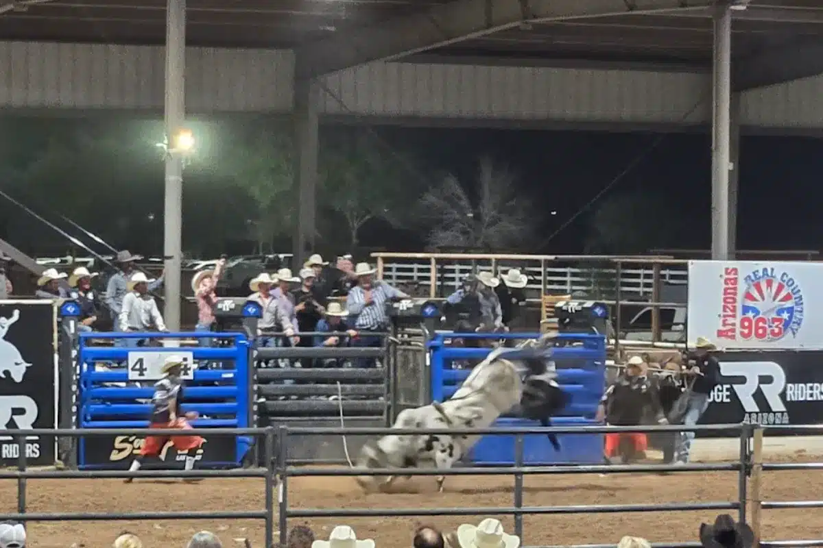 Buckeye Equestrian & Events Center