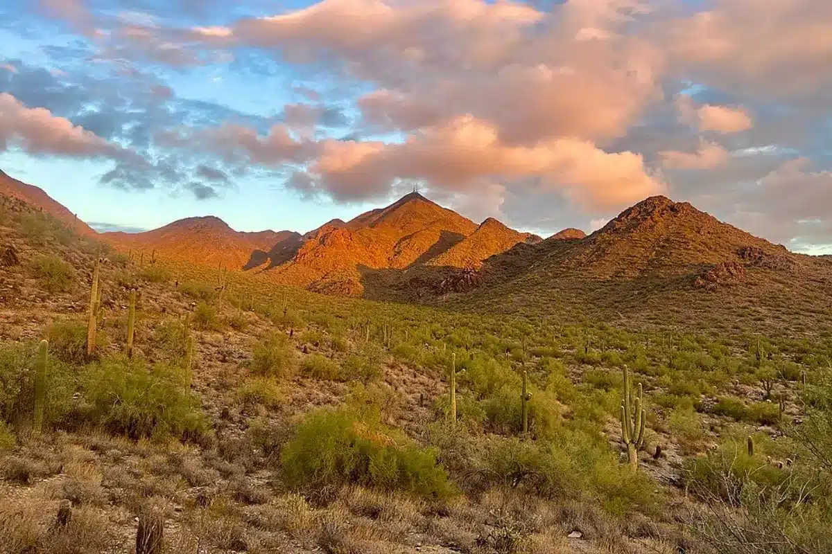 McDowell Sonoran Preserv